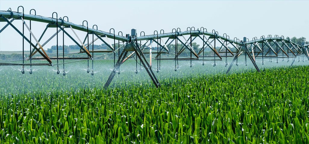 Morgan Western Bridge